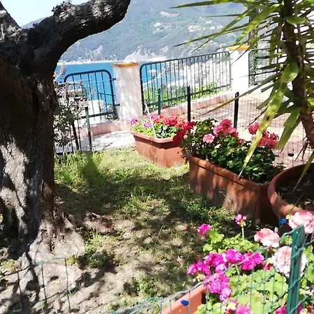 Sussurro Del Mare